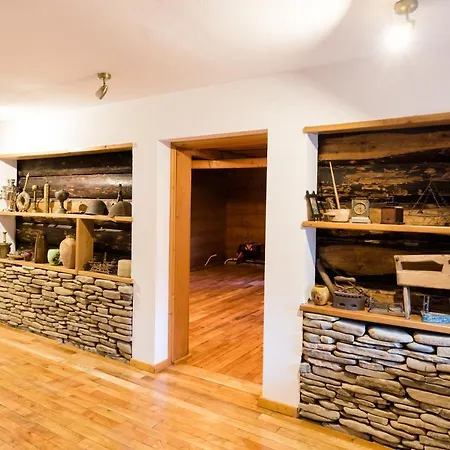 Guest house Pensiunea Casa Bunicilor 4*