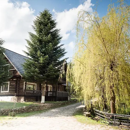 Guest house Pensiunea Casa Bunicilor 4*