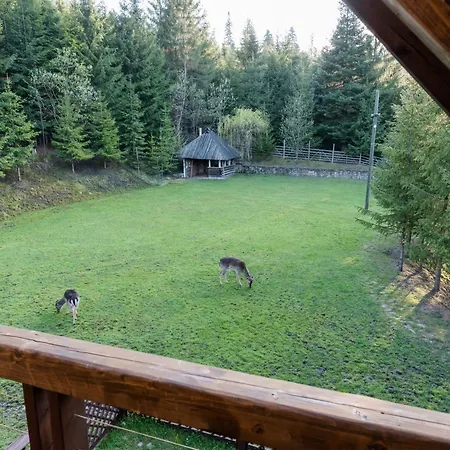 Pensiunea Casa Bunicilor 4*