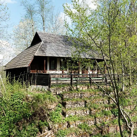 Guest house Pensiunea Casa Bunicilor 4*