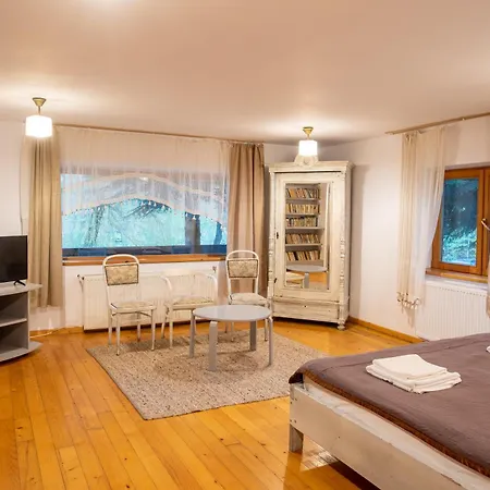 Guest house Pensiunea Casa Bunicilor 4*