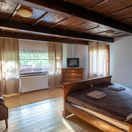 Pensiunea Casa Bunicilor Guest house