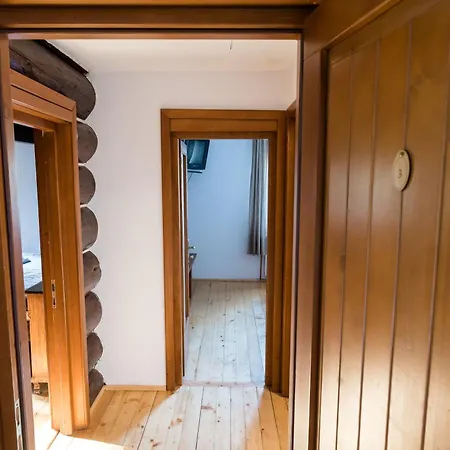 Guest house Pensiunea Casa Bunicilor